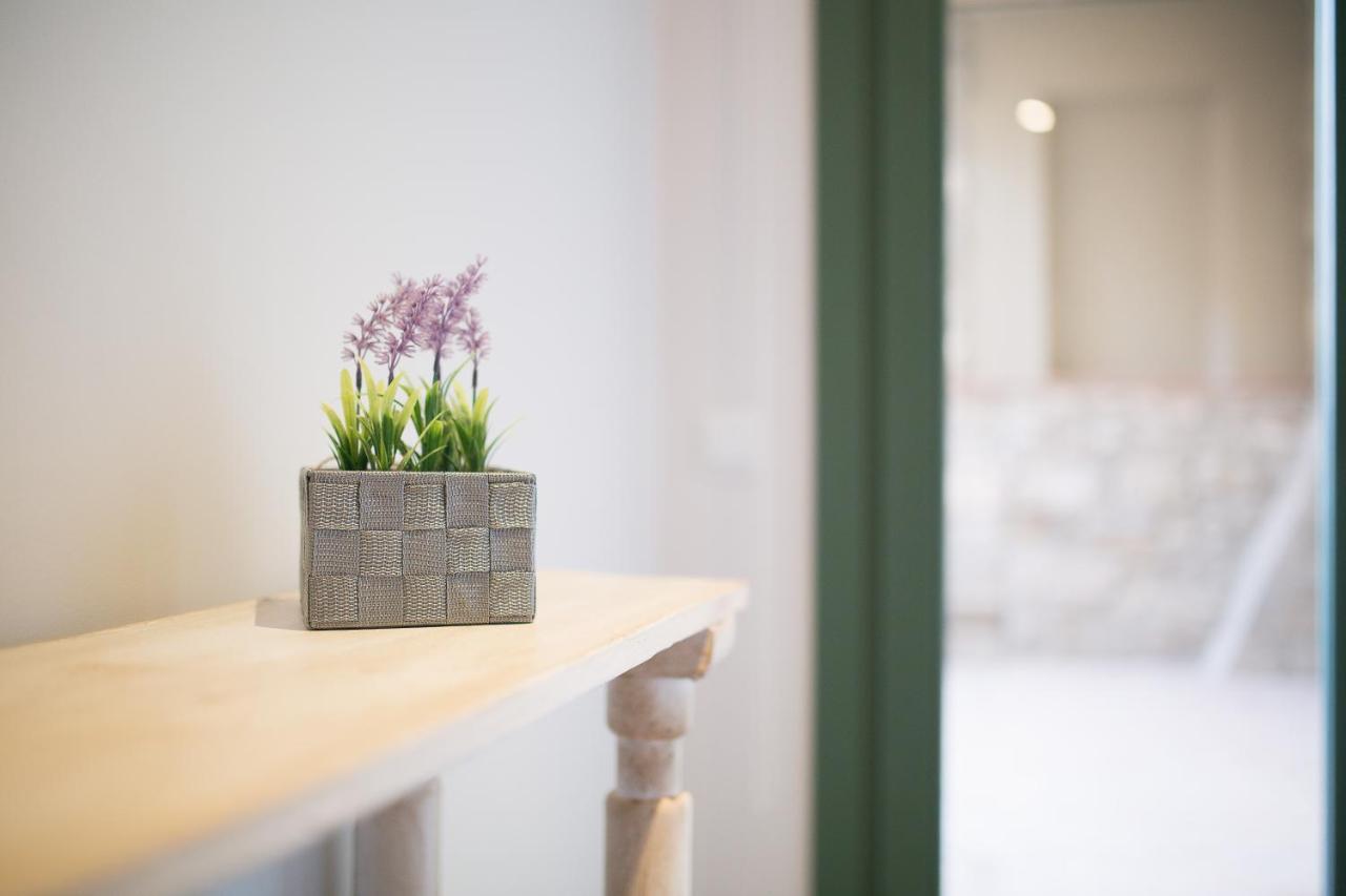 Apartaments Catedral - Baltack Homes Girona Bagian luar foto